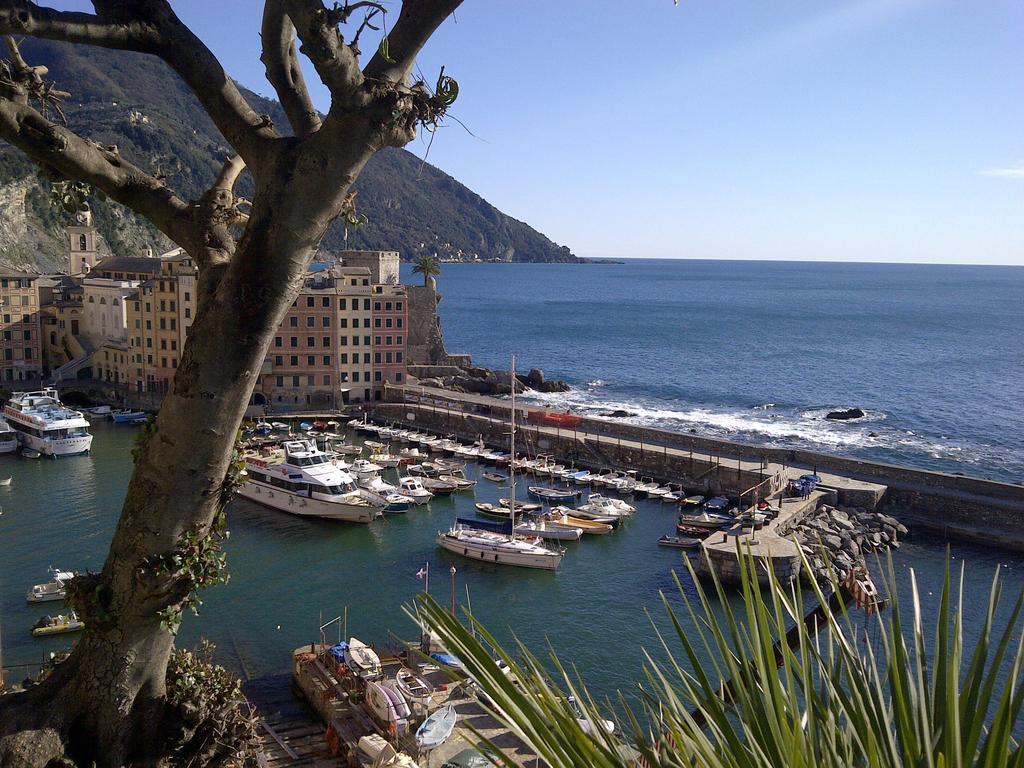 Al Piccolo Scoglio - Room & Breakfast Camogli Exterior foto